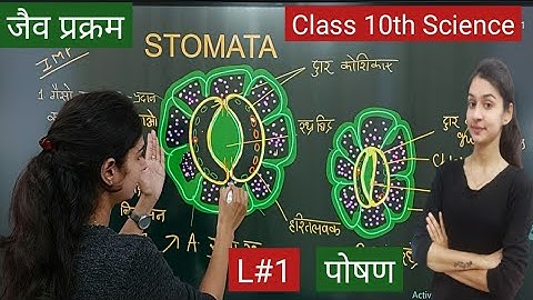 Class 10 विज्ञान (Science)|| जैव प्रक्रम (Life Process)|| पोषण (Nutrition) Part-1
