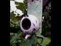 How to Make a Bird House from a Tea Pot How to Make a Bird House from a Tea Pot