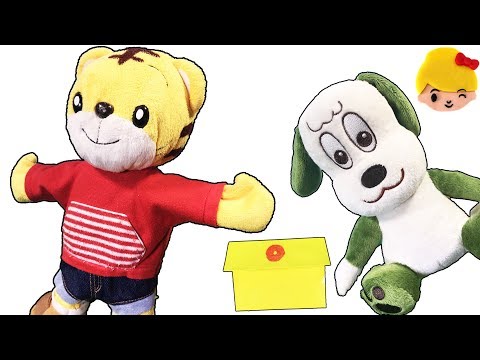 しまじろうが財布を落としてさあたいへん！いないいないばぁのワンワン