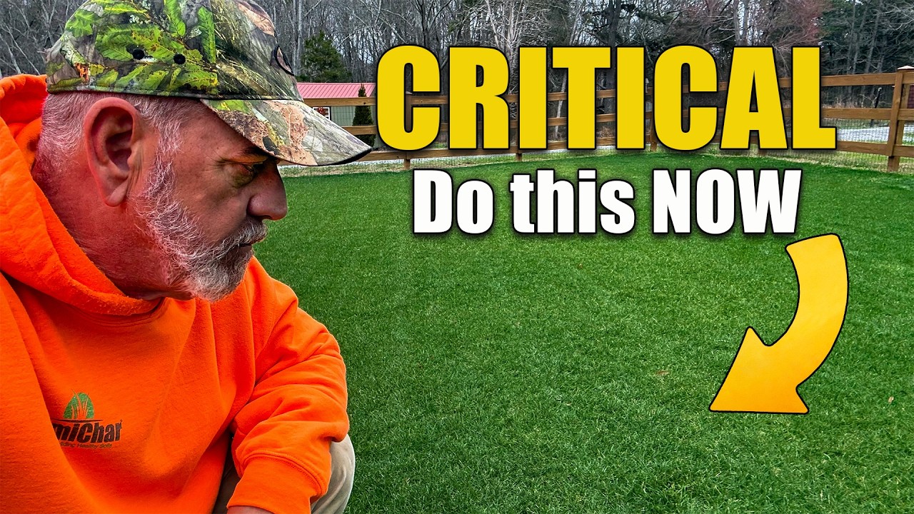 Stop! Do These Things NOW for Lawn & Garden (March Checklist)