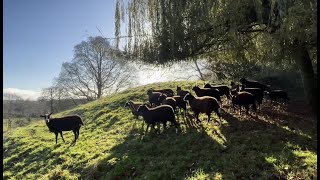 Winter Weather Creates Perfect Conditions For Hot Chocolate Without Guilt