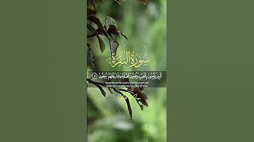 سورة البقرة آيات تلامس القلوب وتبعث السكينة والطمأنينة | Surah Al-Baqarah Heart-Touching Verses of