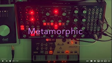 Metamorphic - Moog Subharmonicon & Korg Volca Drum - Down Tempo Polyrhythmic Goodness