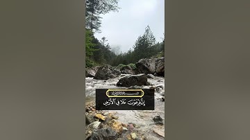 تلاوة بصوت خاشع للقارئ خالد الشامسي |  قرآن كريم