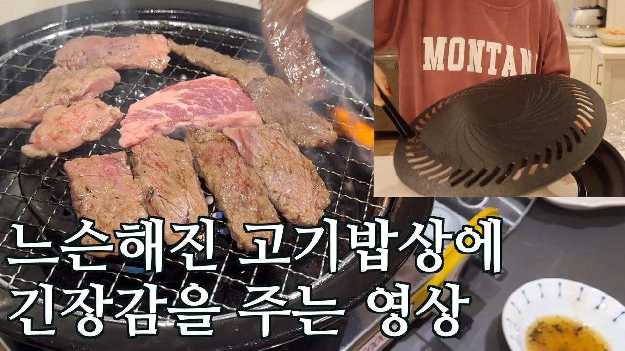 소고기가 주식인 테토녀 일상 VLOG | 166cm•61kg•wave 💪 | 매일이 식솔들과 고기파티