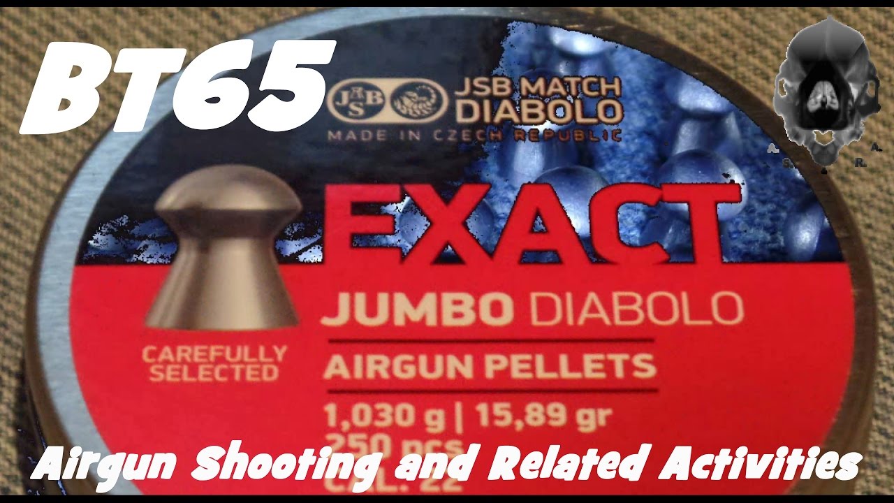 Hatsan BT65 SB Elite .22 with regulator and JSB Exact Jumbo 15.89