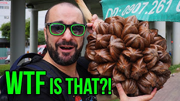 Weird Giant Brown Fruit Sold on The Highway in Vietnam - Nipa Palm