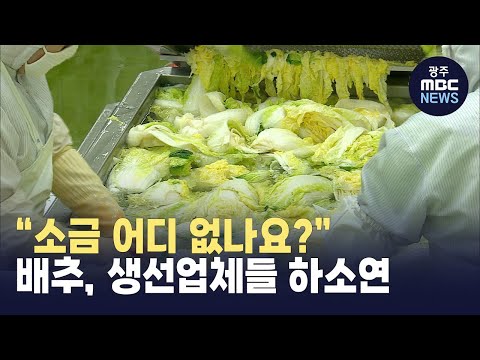소금 품귀로 2차 가공업체도 타격 (뉴스투데이 2023.06.21 광주MBC)