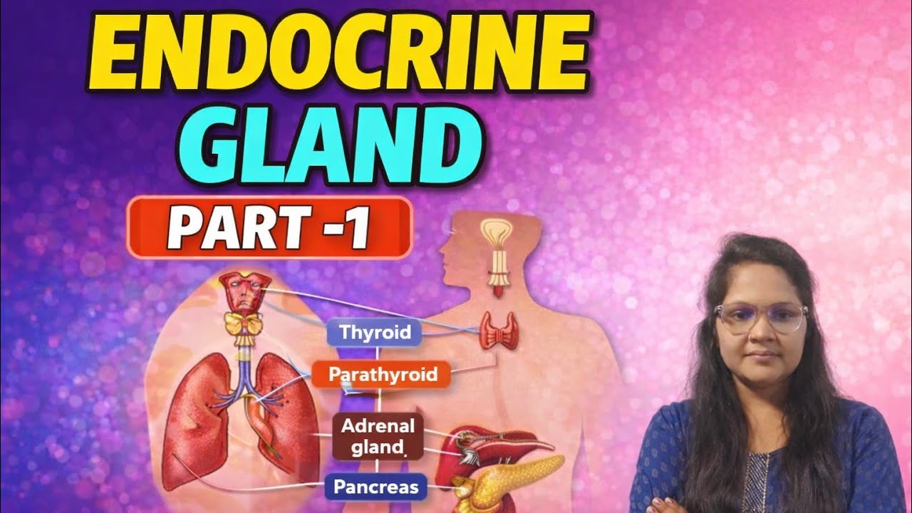 Endocrine Gland | अंतःस्रावी ग्रंथियाँ | Hormones & Functions | Part–1