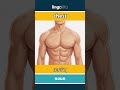 🇬🇧🇮🇳 chest - மார்பு : learn English : ஆங்கிலம் கற்போம்