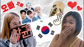 TSL Travels: Chasing KPOP Idols and Alpacas in Seoul!