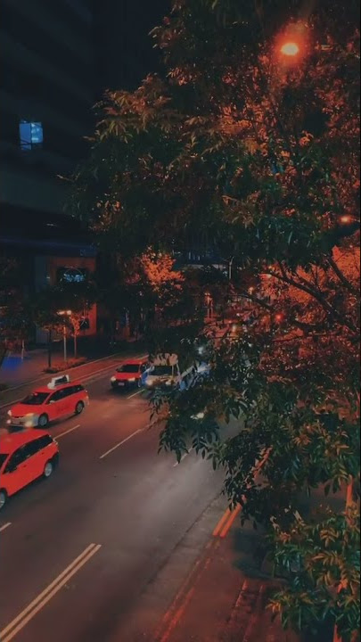 Story Wa Malam Hari/Story Wa Lagu nike ardila/Story wa Jalan malam