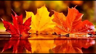 SAGITTARIUS OCTOBER 2023 MID MONTH
