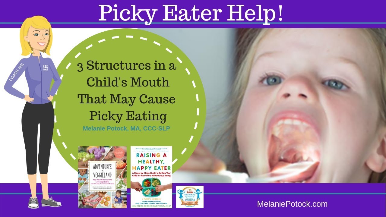 3 Structures in a Child's Mouth that May Cause Picky Eating! - YouTube