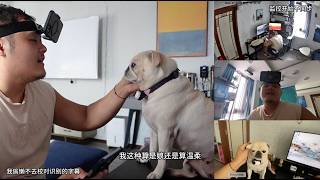 C0118-RAW做了大半辈子的豆腐这一类的人群，他们起早贪黑，是什么时候让他们觉得需要这样子日复一日的起早贪黑，像是机械指令一样