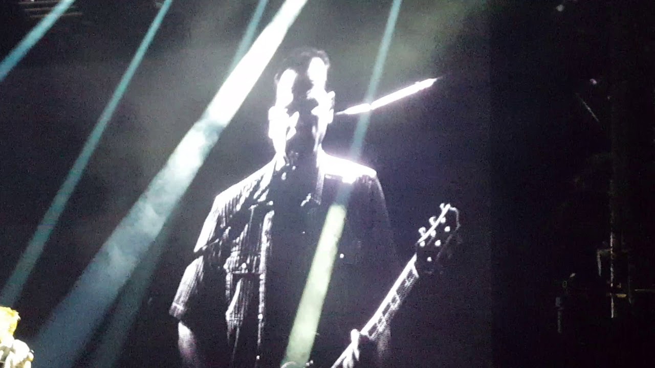 toten hosen hannover toten hosen hannover