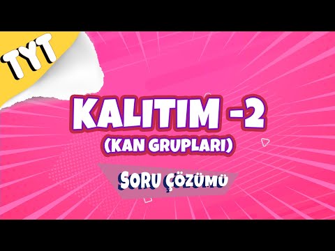 Kalıtım - 2 (Kan Grupları ) Soru Çözümü |  TYT 2022 #hedefekoş