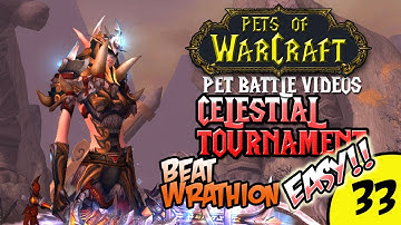 PetsOfWarCraft Video 33 - Celestial Tournament How to Beat Wrathion - World of Warcraft Vlog