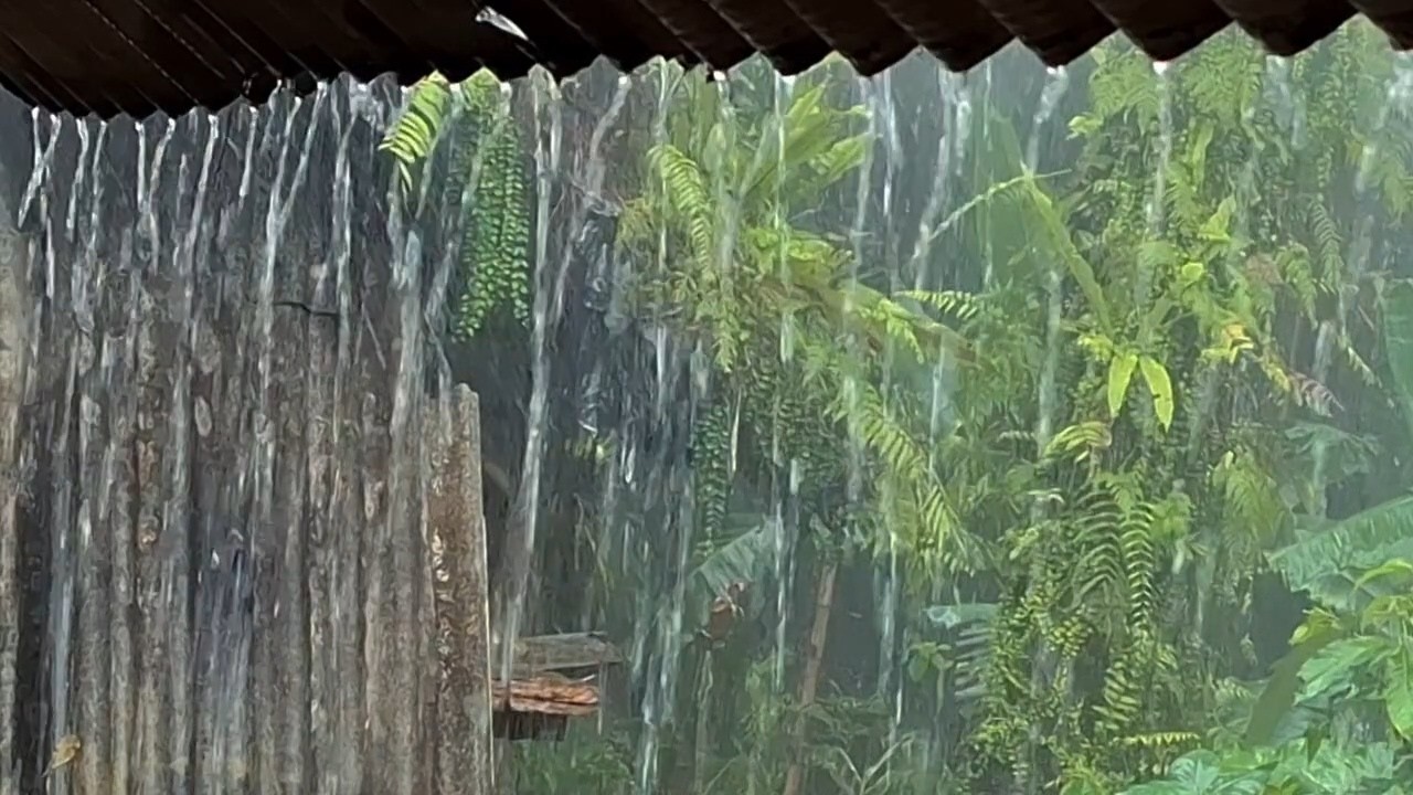 Звуки дождя для сна 🌧️ Сильный дождь на крыше — Реальный естественный белый шум для глубокого сна