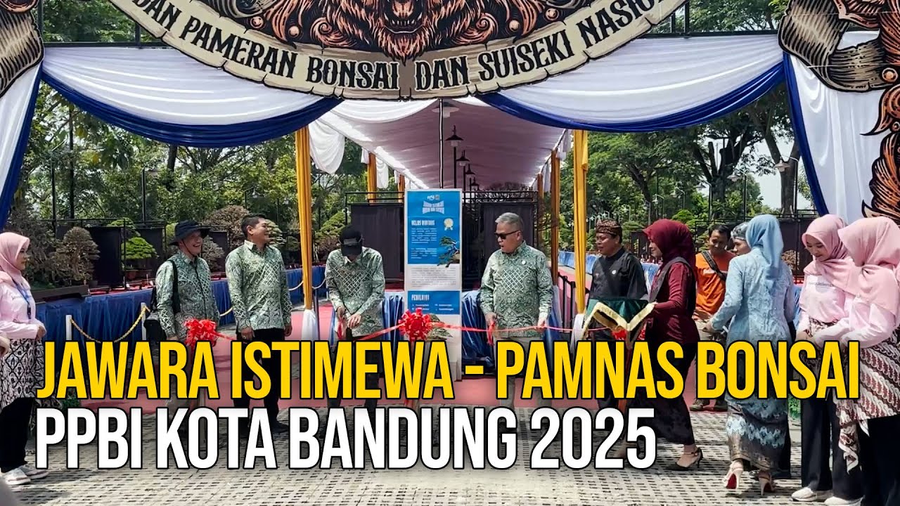 Национальный конкурс и выставка бонсай 2025 | Специальный Чемпион | PPBI Бандунг Сити