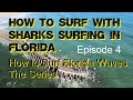 How to Surf Florida Waves, Episode 4, What About All Those Sharks?  Dealing with Sharks in the Wild