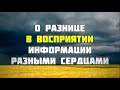 О разнице в восприятии информации разными сердцами || Ринат Абу Мухаммад