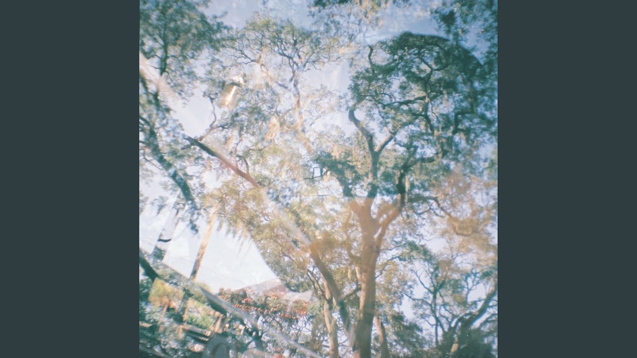 Guarda Foley su YouTube Guarda Foley su YouTube