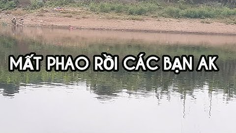 cận cảnh cá mè ăn chìm phao nhé mọi người. cá mè chưa mở mắt