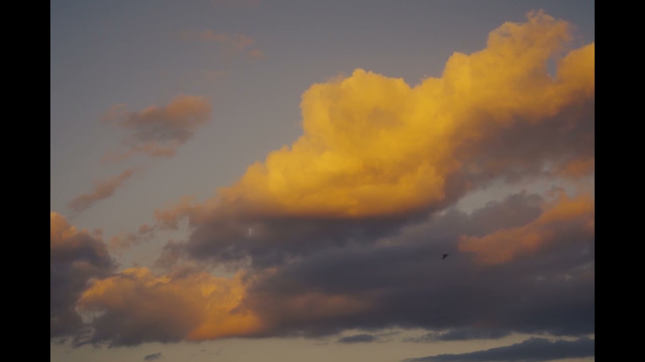 an evening on the north coast (ohio isn’t half bad)