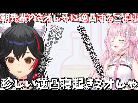 朝こよ200回記念に逆凸して珍しいものが見えた朝こよ【2024/10/01 #ホロライブ #ホロライブ切り抜き #博衣こより 】