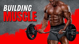 Celebrity 6 Hard Truths About Building Muscle Profile