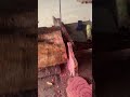 Professional Band Saw Machine Cutting Decorative Wood Shape