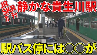 【主要駅だが静か】JR・SKR・ガチャの貴生川駅とその周辺を紹介