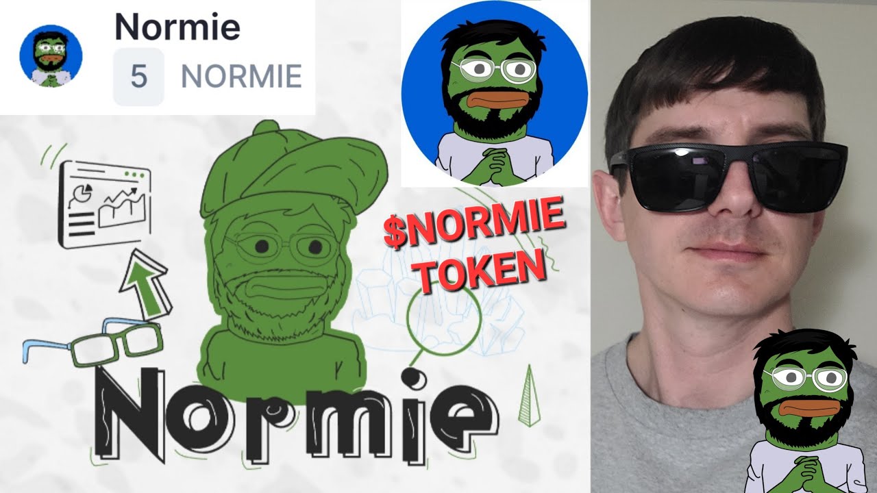 NORMIE NORMIE TOKEN CRYPTO COIN ALTCOIN HOW TO BUY MEME PEPE BSC ETH