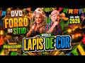 NORDESTINOS DO FORRÓ - DVD N0 SÍTIO 2026 - ( LÁPIS DE COR )
