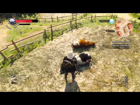 The Witcher 3: Wild Hunt 353