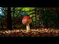 Speed art &quot;Autumn mushroom&quot; / Осенний гриб