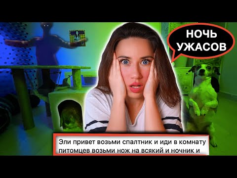 Я НОЧЕВАЛА В КОМНАТЕ ПИТОМЦЕВ и Скрытые Камеры - Сербская Леди - Переписка 8 | Elli Di Online
