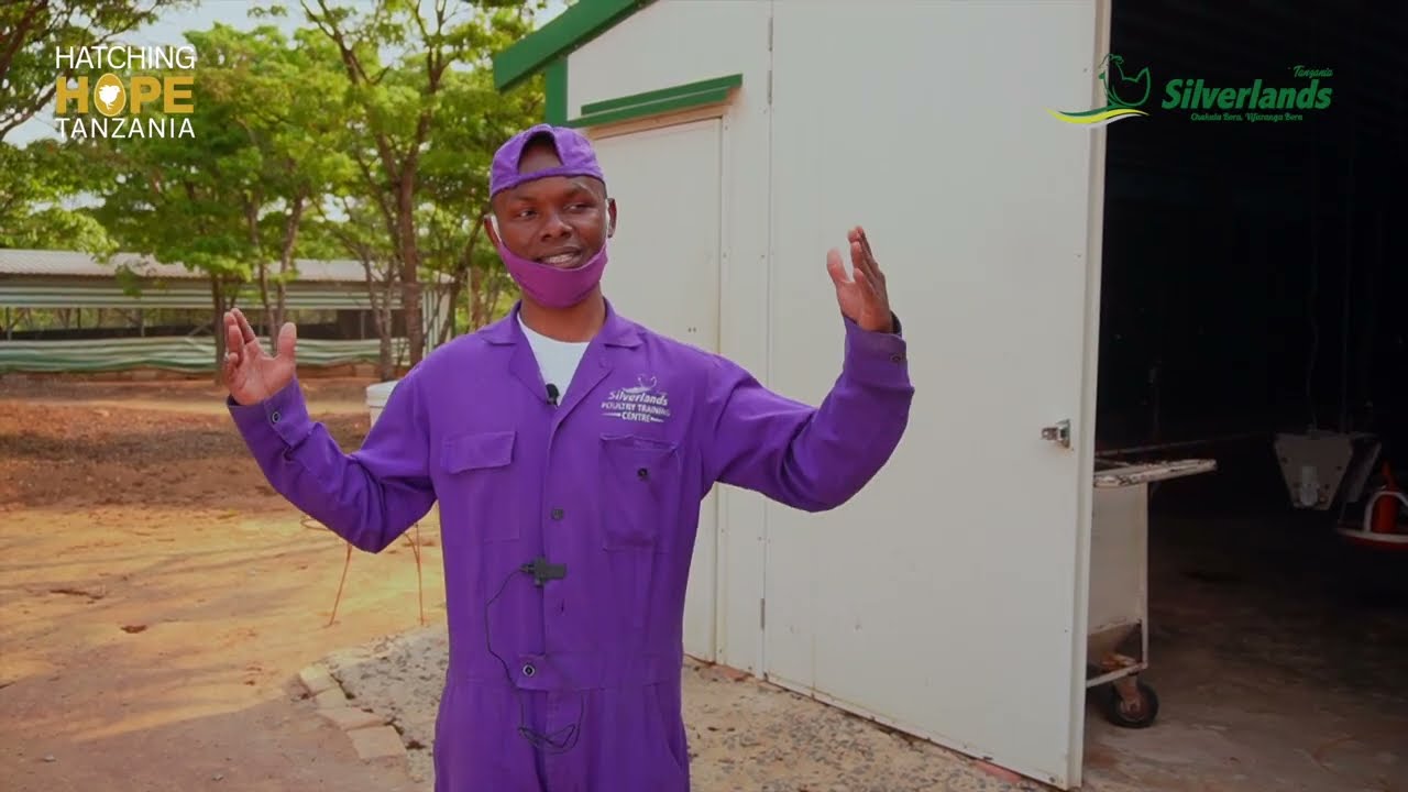 Usijenge nyumba ya kuku kabla hujaona hii!