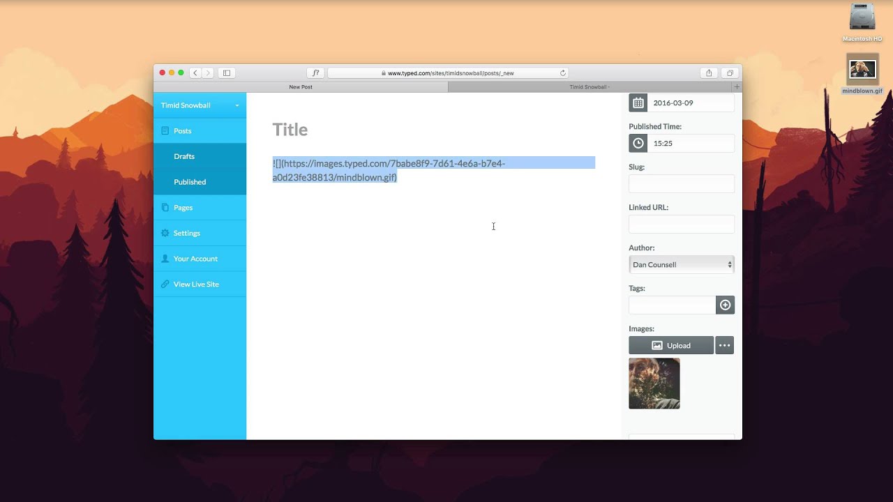 How to build a microblogging website with typed.com