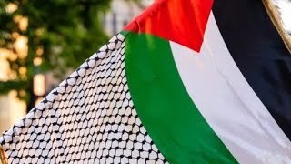 Celebrities Who Supports Palestine shrots fyp celebrity support palestine freepalestine