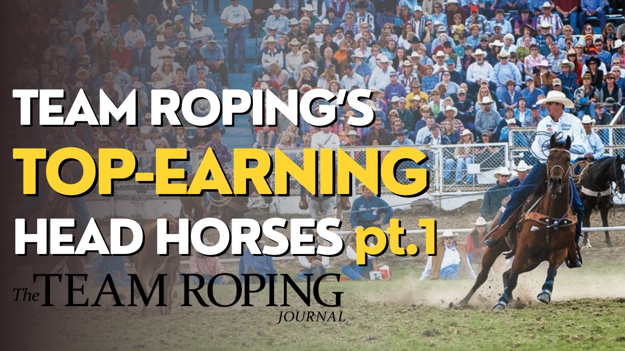 Team Roping's Highest-Earning Head Horses Countdown Pt. 1| Western ...