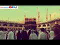             بلوچی نات