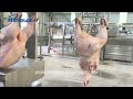 Automatic Chicken Cutting Line 1500 2500 BPH Poultry Processing Equipment Test Run 