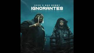 Bad Bunny Sech Ignorantes Audio 8D By Eight D Music