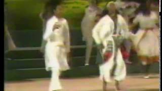 ይርጋ ዱባለ - ተይ ደማም Yirga Dubale - Tey Demam