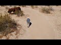 Borrego Springs Tour from a drone