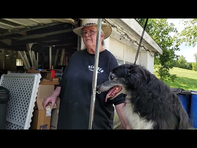 Trimming a dog's nails