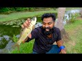 Magic Fishing Net | ഈ വല കയ്യിൽ ഉണ്ടെങ്കിൽ മീൻപിടുത്തം എന്ത് എളുപ്പം | M4 Tech |