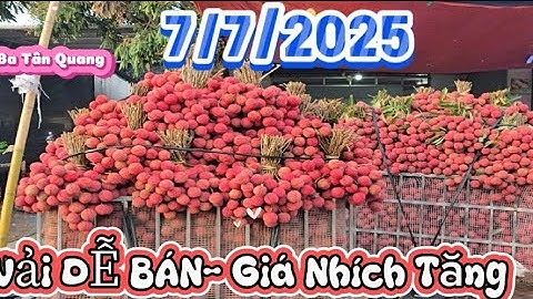 VẢI THANH HÀ CUỐI VỤ DỄ BÁN - NGƯỜI MUA TRANH NHAU I NÚI ĐỒI LỤC NGẠN